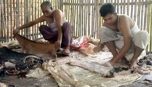 চামড়া বেপারীদের কপালে হাত! 1 চামড়া বেপারীদের কপালে হাত!