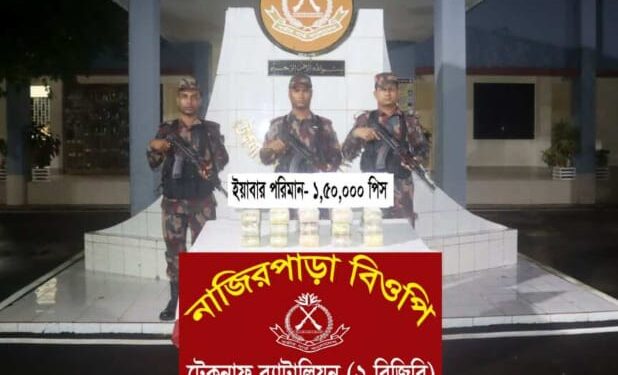 বিজিবি দেখে ব্যাগ ফেলে পালালো পাচারকারী মিললো দেড়লাখ ইয়াবা