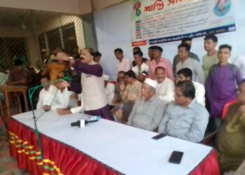 বিএনপি’র আন্দোলন এখন অন্তসারশূন্য বস্তু–সালাহউদ্দীন সিআইপি