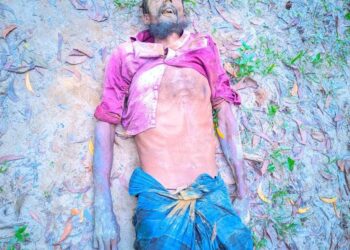 পেকুয়ায় বন্য হাতির আক্রমণে বৃদ্ধের মৃত্যু