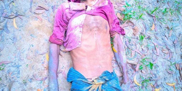 পেকুয়ায় বন্য হাতির আক্রমণে বৃদ্ধের মৃত্যু