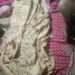 পেকুয়ায় বজ্রপাতে শ্রমিক নিহত