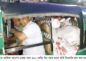 রামুতে পঁচা গরুর মাংস ভর্তি সিএনজি জব্দ
