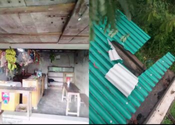 টিনের চাল কেটে মুদি দোকানে দুধর্ষ চুরি