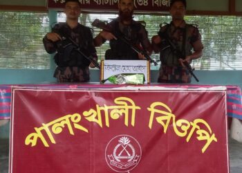 ৫ কোটি টাকার মাদক ফেলে মিয়ানমার পালাল