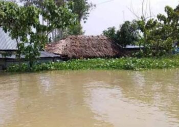বেড়িবাঁধ ভেঙে পানিবন্দী ২০০ পরিবার