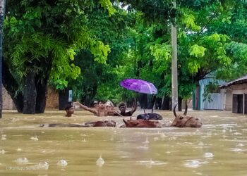 বন্যায় পানিবন্দি সাড়ে ৪ লাখ মানুষ:দুইদিনে ৯ জনের প্রাণহানী