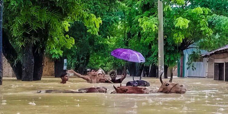 বন্যায় পানিবন্দি সাড়ে ৪ লাখ মানুষ:দুইদিনে ৯ জনের প্রাণহানী