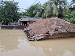 পেকুয়ায় বন্যা পরিস্থিতির অবনতি, সড়ক যোগাযোগ বন্ধ, সাপের কামড়ে ১জনের মৃত্যু 2 IMG 20230809 WA0017