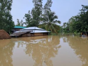 পেকুয়ায় বন্যা পরিস্থিতির অবনতি, সড়ক যোগাযোগ বন্ধ, সাপের কামড়ে ১জনের মৃত্যু 3 IMG 20230809 WA0018