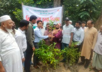 চকরিয়ায় বিনামূল্যে পাবে সাড়ে ১২ হাজার চারা