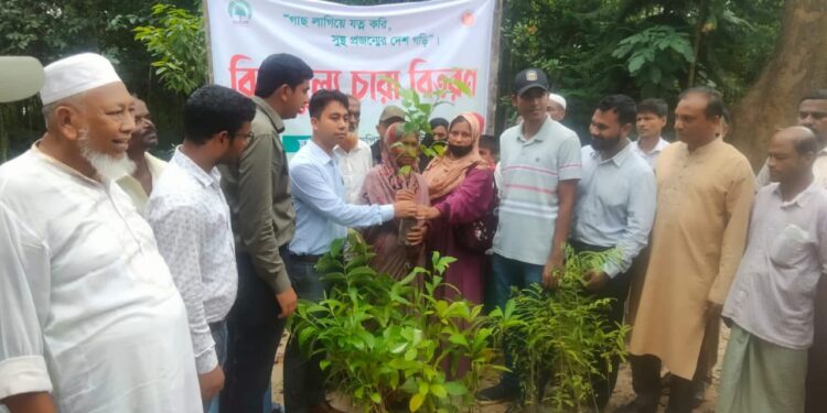 চকরিয়ায় বিনামূল্যে পাবে সাড়ে ১২ হাজার চারা