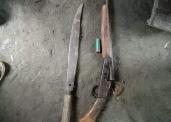 গরু নিয়ে চম্পট; ফেলে গেছে বন্দুক