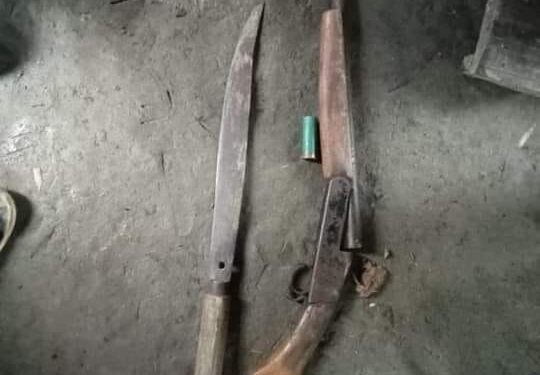 গরু নিয়ে চম্পট; ফেলে গেছে বন্দুক