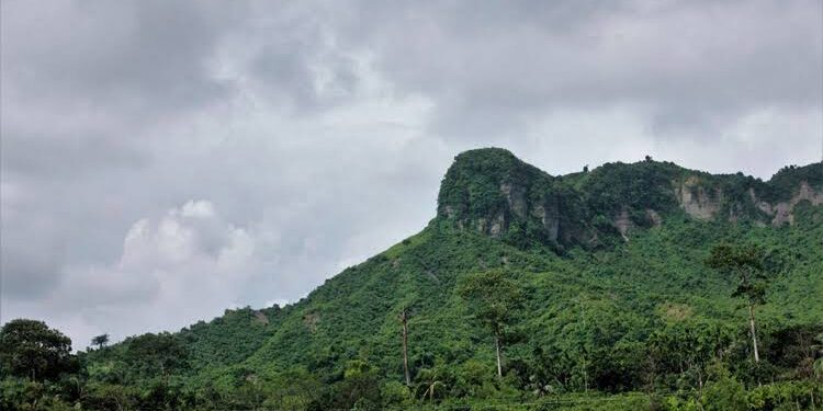 রোহিঙ্গা ডাকাতদলের আস্তানা দেখে ফেলায় কিশোরকে গুলি 1 রোহিঙ্গা ডাকাতদলের আস্তানা দেখে ফেলায় কিশোরকে গুলি