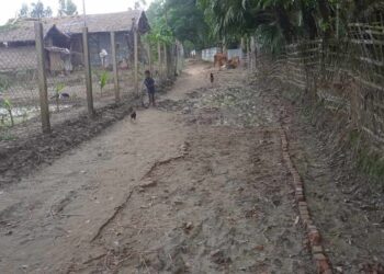 সংস্কারহীন চেপ্টাখালী জমজম সেতু-চরপাড়া স্লুইচ গেইট সড়ক