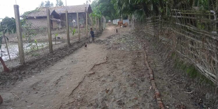 সংস্কারহীন চেপ্টাখালী জমজম সেতু-চরপাড়া স্লুইচ গেইট সড়ক