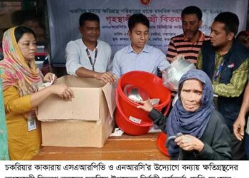 সাগরে মিলল বিশালাকৃতির বোলমাছ
