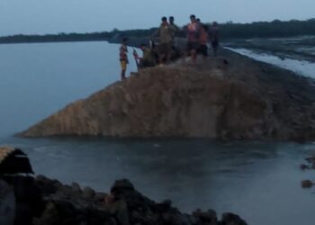 মহেশখালীতে প্যারাবনের ২৫০ একর জায়গা দখলমুক্ত
