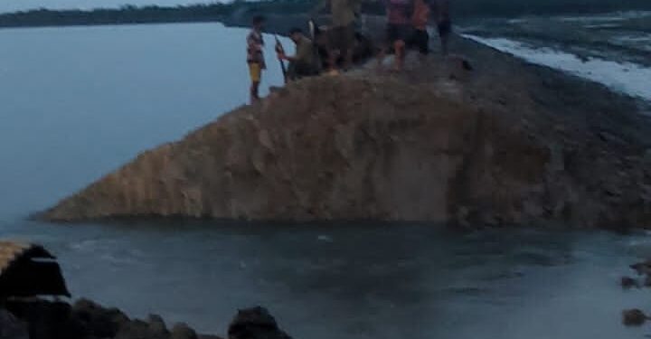 মহেশখালীতে প্যারাবনের ২৫০ একর জায়গা দখলমুক্ত