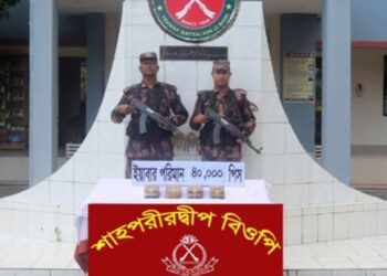 ৪০ হাজার ইয়াবা ফেলে পালালো পাচারকারীরা