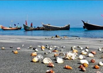 শামুক -ঝিনুক কক্সবাজার অর্থনীতির নতুন সম্ভাবনা