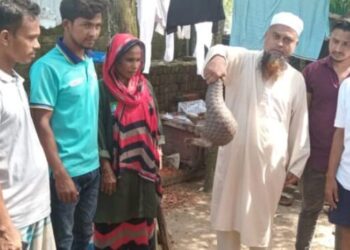 কক্সবাজার সমুদ্রসৈকতে মিলল বিপন্ন বনরুই