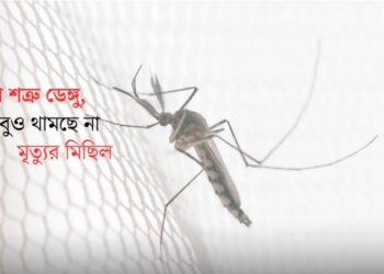 ডেঙ্গুতে প্রাণ গেল চট্টগ্রামের আরও দুজনের