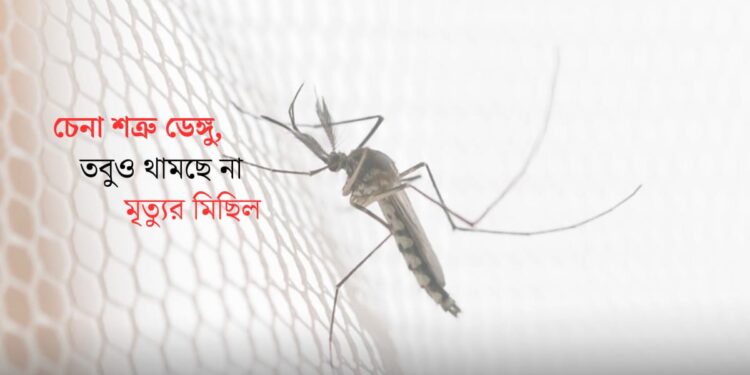 ডেঙ্গুতে প্রাণ গেল চট্টগ্রামের আরও দুজনের 1 ডেঙ্গুতে প্রাণ গেল চট্টগ্রামের আরও দুজনের