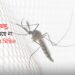 ডেঙ্গুতে প্রাণ গেল চট্টগ্রামের আরও দুজনের