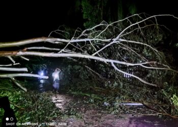 মহেশখালীতে ঘূর্ণিঝড় হামুনের তান্ডব, আড়াইশের অধিক গ্রাম লন্ডভন্ড।