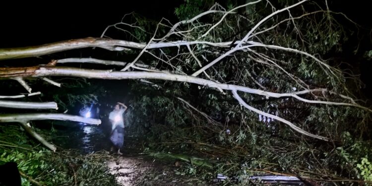 মহেশখালীতে ঘূর্ণিঝড় হামুনের তান্ডব, আড়াইশের অধিক গ্রাম লন্ডভন্ড। 1 মহেশখালীতে ঘূর্ণিঝড় হামুনের তান্ডব, আড়াইশের অধিক গ্রাম লন্ডভন্ড।