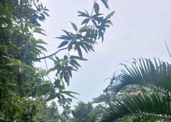 মোংলা, পায়রাকে ৭; চট্টগ্রাম, কক্সবাজারকে ৬নং বিপদ সংকেত