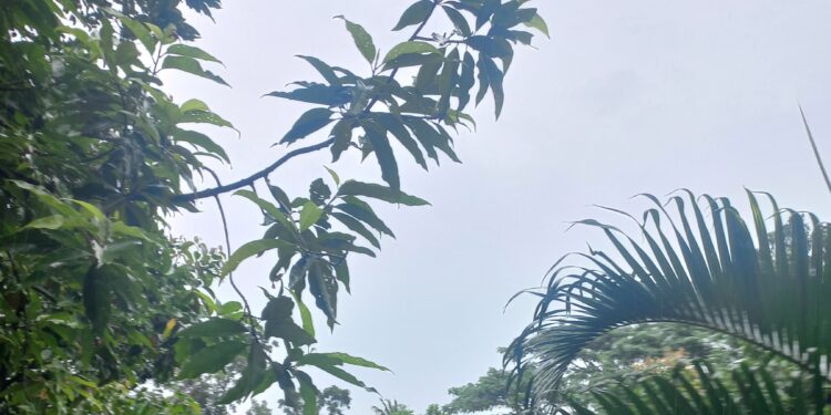 মোংলা, পায়রাকে ৭; চট্টগ্রাম, কক্সবাজারকে ৬নং বিপদ সংকেত 1 মোংলা, পায়রাকে ৭; চট্টগ্রাম, কক্সবাজারকে ৬নং বিপদ সংকেত