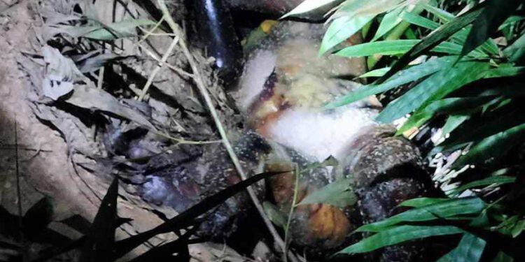 লামায় মোস্তফা গ্রুপের বাগান থেকে অজ্ঞাত লাশ উদ্ধার 1 লামায় মোস্তফা গ্রুপের বাগান থেকে অজ্ঞাত লাশ উদ্ধার