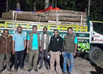 পেকুয়ায় বনবিভাগের অভিযানে ট্রাকভর্তি গাছ জব্দ