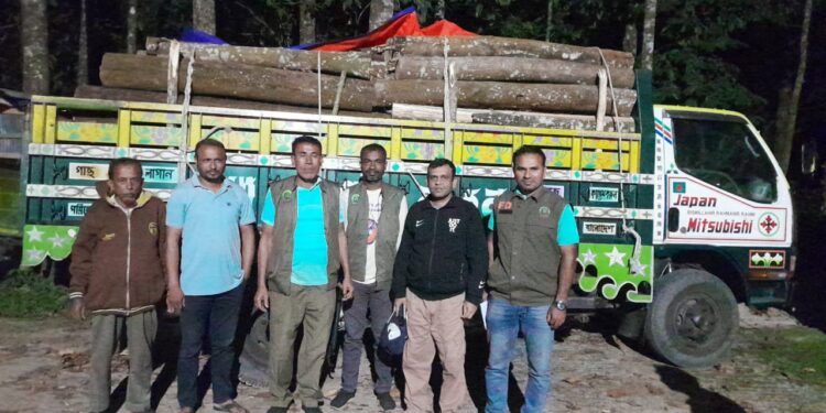 পেকুয়ায় বনবিভাগের অভিযানে ট্রাকভর্তি গাছ জব্দ 1 পেকুয়ায় বনবিভাগের অভিযানে ট্রাকভর্তি গাছ জব্দ