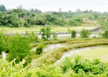 গুলির শব্দে কাঁপছে সীমান্ত