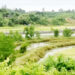 গুলির শব্দে কাঁপছে সীমান্ত