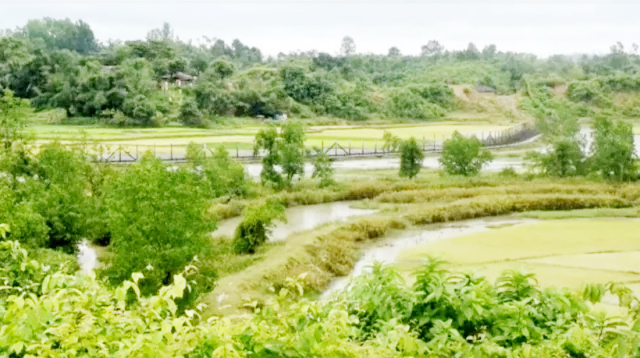 গুলির শব্দে কাঁপছে সীমান্ত 1 গুলির শব্দে কাঁপছে সীমান্ত