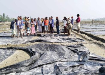চকরিয়ায় রাতের আধাঁরে দুবৃর্ত্তদের তাণ্ডব, ১৫০ একর লবণ মাঠের পলিথিন কেটে তছনছ