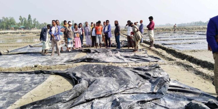 চকরিয়ায় রাতের আধাঁরে দুবৃর্ত্তদের তাণ্ডব, ১৫০ একর লবণ মাঠের পলিথিন কেটে তছনছ