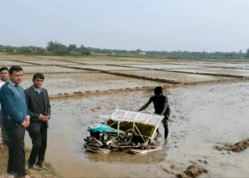 চকরিয়ায় কৃষকেরা রাইস ট্রান্সপ্লান্ট’ পদ্ধতিতে ধান রোপণে দেখছেন নতুন দিশা