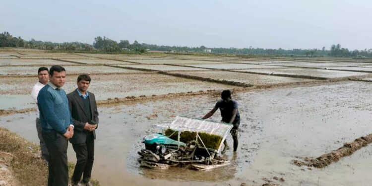 চকরিয়ায় কৃষকেরা রাইস ট্রান্সপ্লান্ট' পদ্ধতিতে ধান রোপণে দেখছেন নতুন দিশা 1 চকরিয়ায় কৃষকেরা রাইস ট্রান্সপ্লান্ট’ পদ্ধতিতে ধান রোপণে দেখছেন নতুন দিশা
