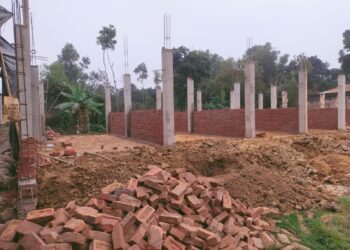 ঈদগাঁওতে বন জমি গিলে খাচ্ছে ভূমিদস্যু চক্র