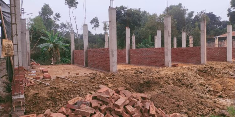 ঈদগাঁওতে বন জমি গিলে খাচ্ছে ভূমিদস্যু চক্র