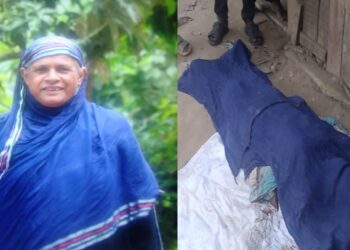 মিয়ানমারের ছোড়া মর্টারশেলে নারীসহ নিহত-২