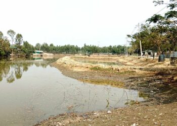 উজানটিয়ায় সরকারি জলমহালে বাঁধ দিয়ে মৎস্যঘের তৈরি, রাজস্ব বঞ্চিত হচ্ছে জেলা প্রশাসন