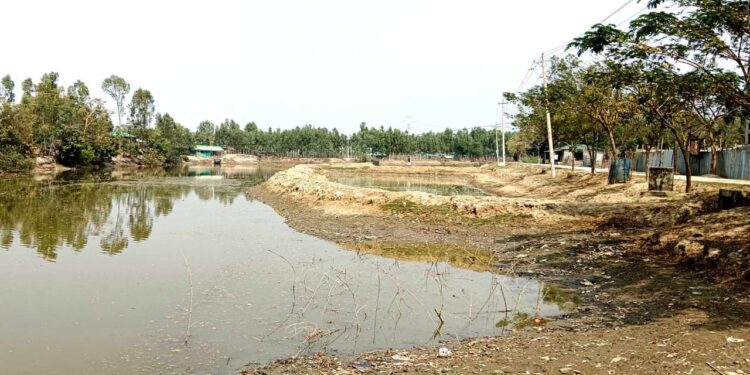 উজানটিয়ায় সরকারি জলমহালে বাঁধ দিয়ে মৎস্যঘের তৈরি, রাজস্ব বঞ্চিত হচ্ছে জেলা প্রশাসন