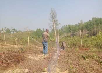চকরিয়ায় কাকারা বনবিটের উচ্ছেদ অভিযানে বেদখল বনভূমি উদ্ধার